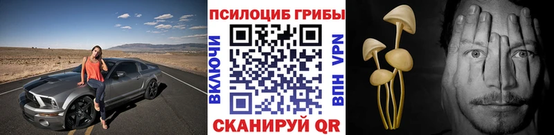Псилоцибиновые грибы Psilocybine cubensis  Купить  Отрадная 